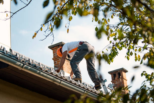 Best Roof Leak Repair  in Colfax, WI