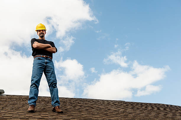 Best Roof Gutter Cleaning  in Colfax, WI