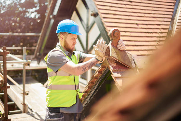 Best Flat Roof Repair Services  in Colfax, WI